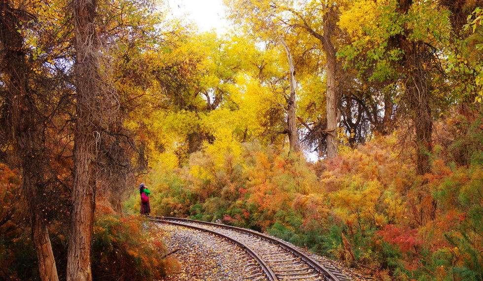 環塔自駕游_環塔路線圖_環塔線路