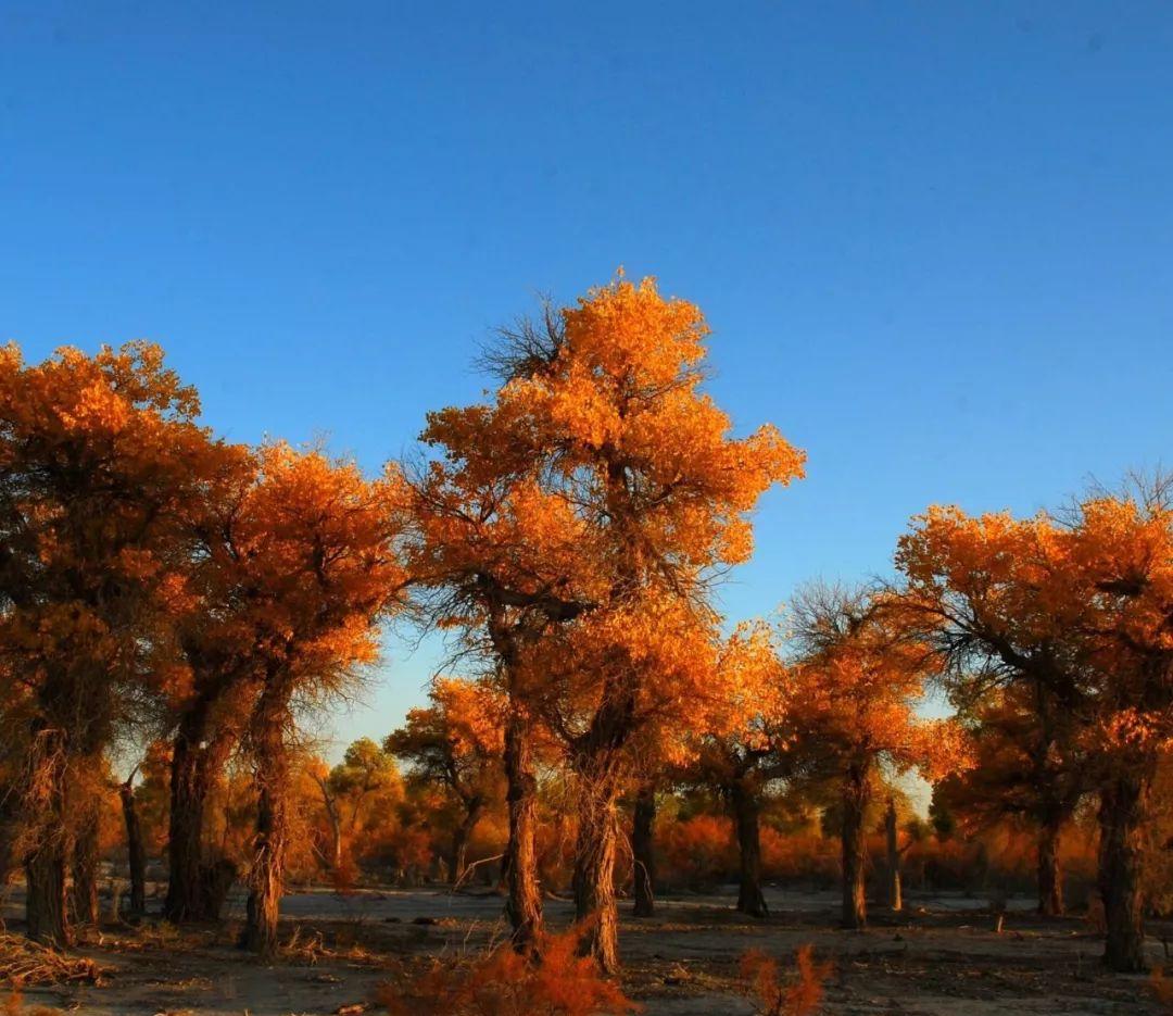 環塔高速_環塔自駕游_環塔線路