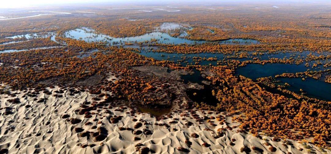 環塔高速_環塔自駕游_環塔線路