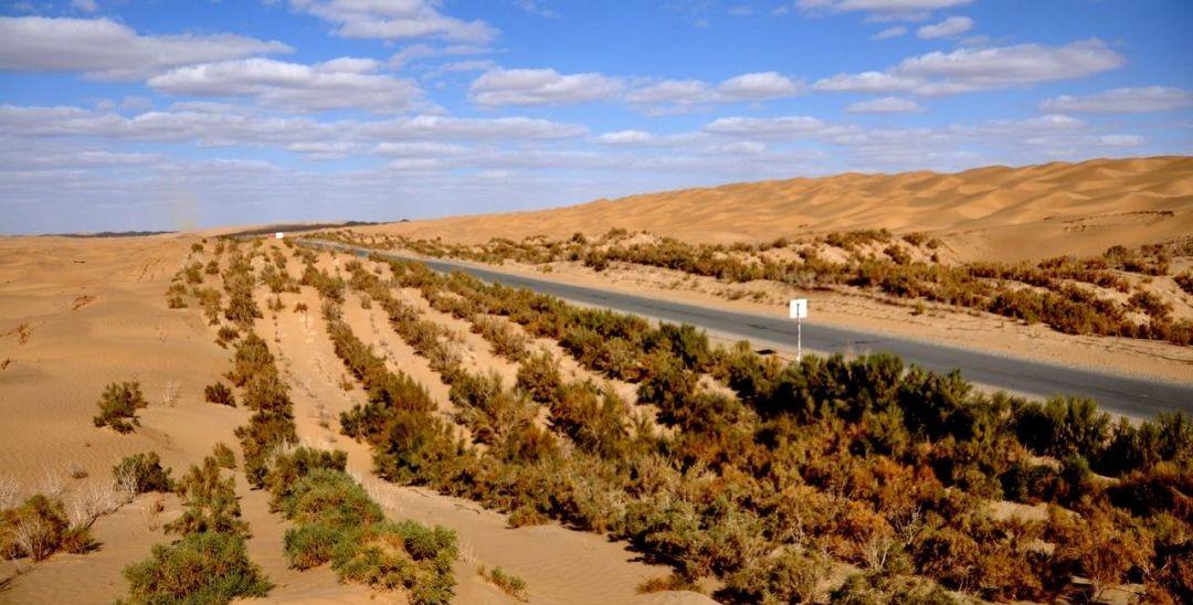 環塔線路_環塔高速_環塔自駕游