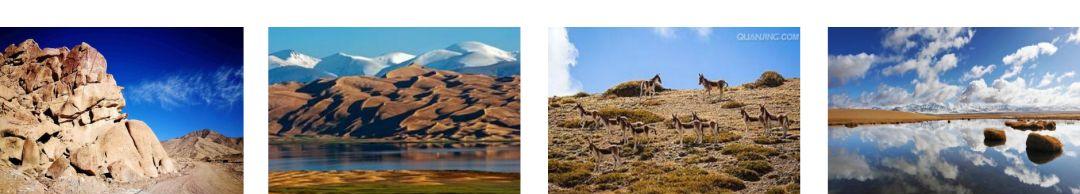 環塔線路_環塔高速_環塔自駕游