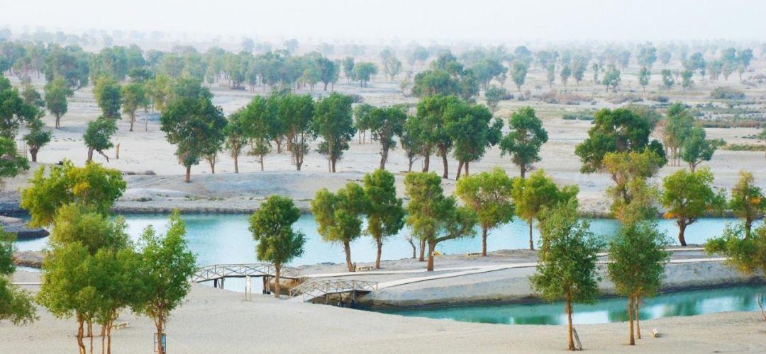 環塔自駕游_環塔高速_環塔線路