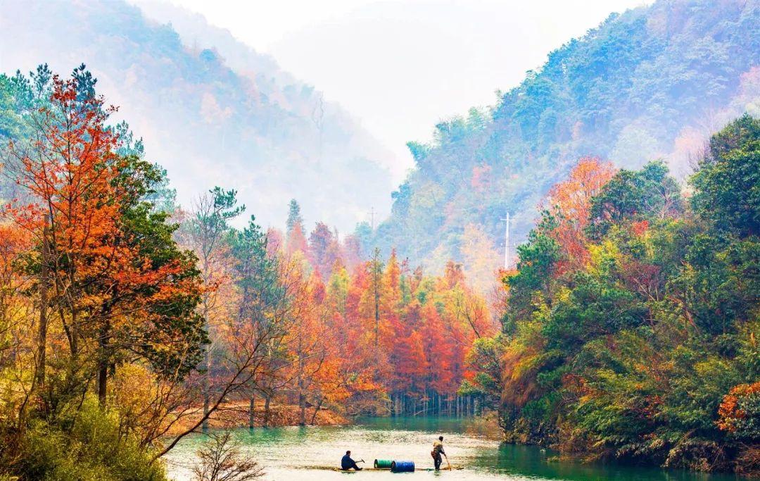 永嘉茗岙民宿_永嘉茗岙梯田游記_永嘉茗岙梯田自駕游
