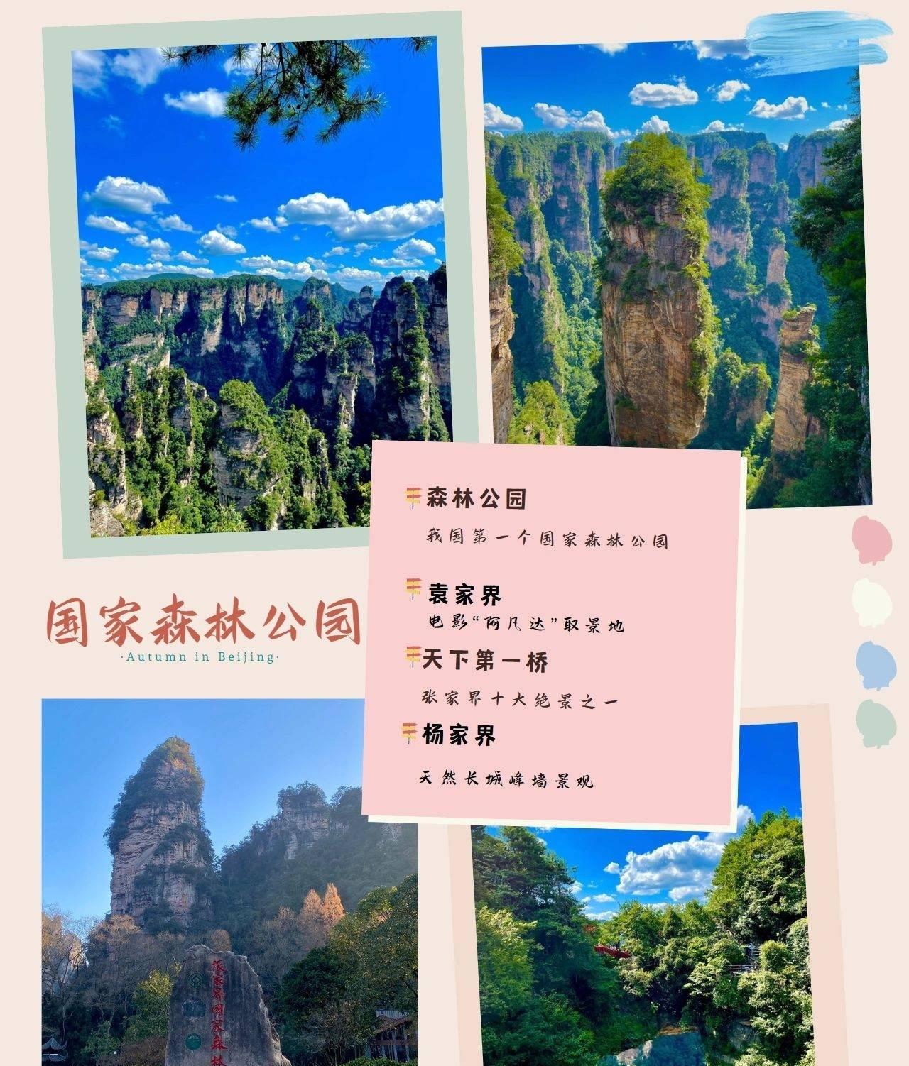 張家界旅游價格_張家界旅游價格5天_張家界旅游價格表最新