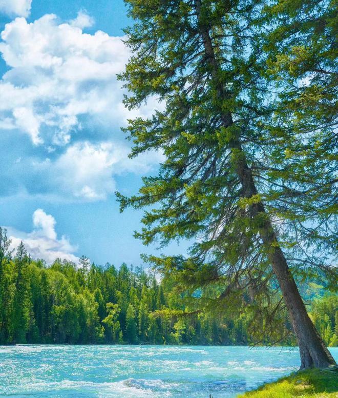 新疆 12 日游,人均 3780 元!遇見阿立,讓旅行更圓滿