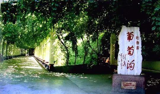 烏魯木齊當地報團旅游_烏魯木齊旅游團報名一日游_烏魯木齊旅游團報價