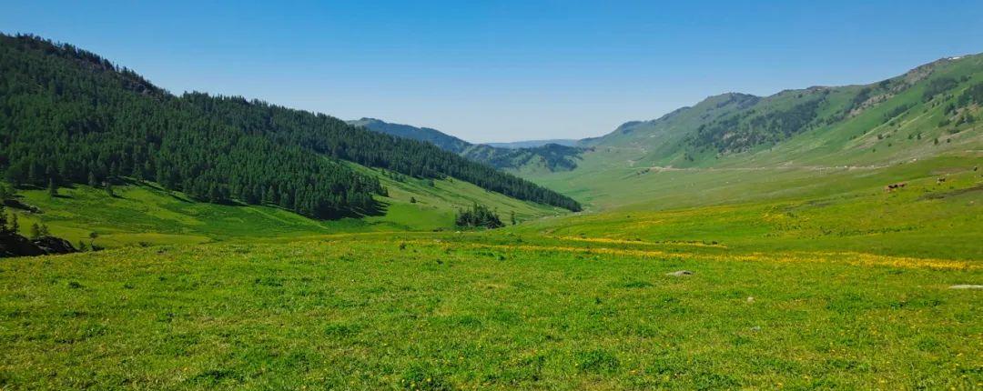 烏魯木齊當地報團旅游_烏魯木齊旅游團報價_烏魯木齊旅游團報名一日游