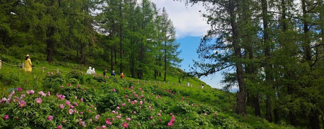 烏魯木齊旅游團報名一日游_烏魯木齊當地報團旅游_烏魯木齊旅游團報價