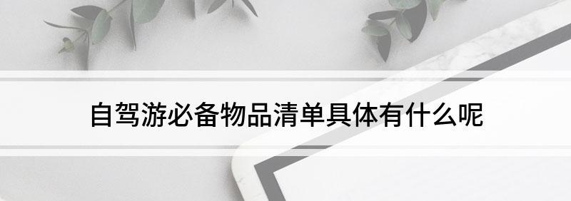 自駕游需要帶物品清單_自駕游都需要帶什么_自駕游需要帶啥