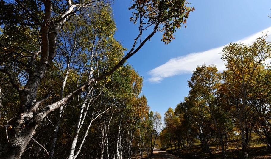豐寧自駕游_自駕游豐寧壩上_自駕游豐寧壩上草原多少錢