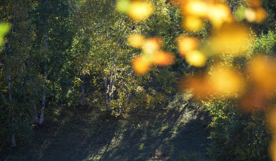 自駕游豐寧壩上草原多少錢_豐寧自駕游_自駕游豐寧壩上