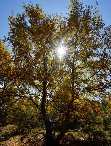 自駕游豐寧壩上草原多少錢_豐寧自駕游_自駕游豐寧壩上