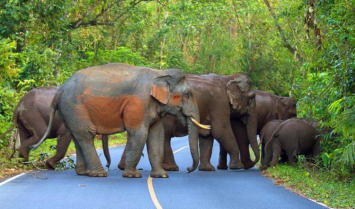 泰國旅游目的地排名_泰國旅游目的地_泰國旅游目的地介紹