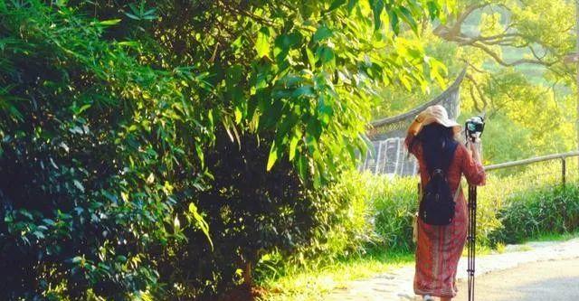 廈門小眾但絕美的旅游地點_廈門小眾旅游景點_廈門小眾旅游