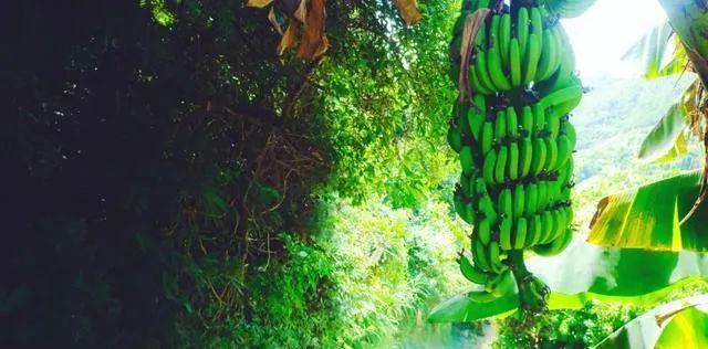 廈門小眾但絕美的旅游地點_廈門小眾旅游景點_廈門小眾旅游