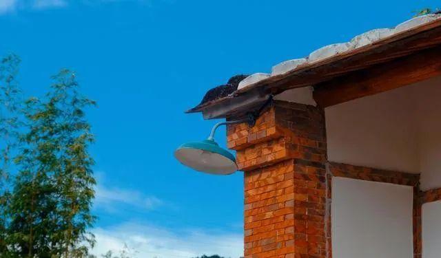 廈門小眾旅游_廈門小眾旅游景點_廈門小眾但絕美的旅游地點