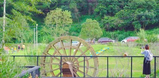 廈門小眾旅游景點_廈門小眾旅游_廈門小眾但絕美的旅游地點