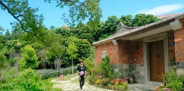 廈門小眾旅游景點_廈門小眾但絕美的旅游地點_廈門小眾旅游