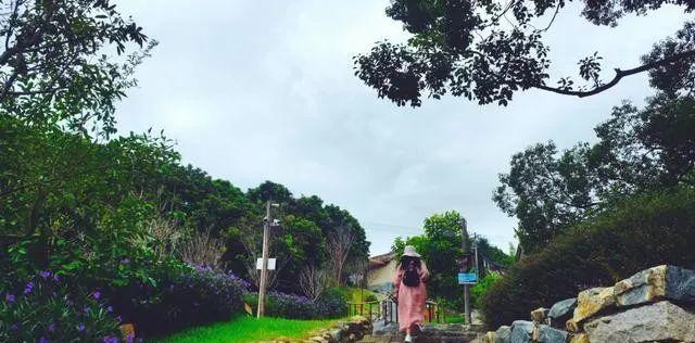 廈門小眾旅游_廈門小眾但絕美的旅游地點_廈門小眾旅游景點