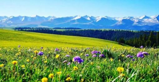 巴音布魯克旅游區_巴音布魯克旅游_巴音布魯克風景