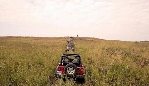 自駕游豐寧壩上_自駕游豐寧壩上草原多少錢_豐寧自駕游