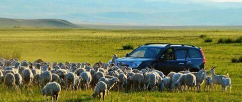 自駕游豐寧壩上草原多少錢_自駕游豐寧壩上_豐寧自駕游