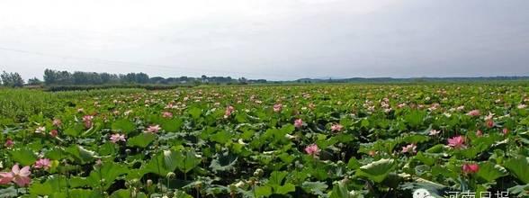 周口  旅游_周口旅游景點_周口旅游景區有哪些