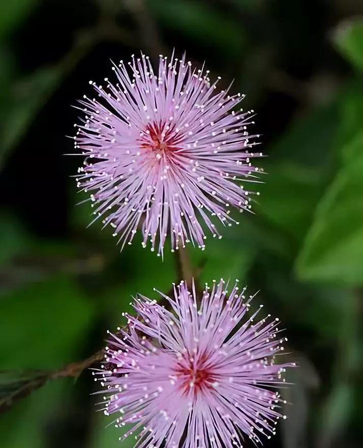 金山旅游_金山旅游團報名官網(wǎng)_金山旅游攻略