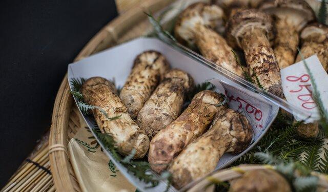 四川稻城亞丁旅游全攻略_四川稻城亞丁旅游_四川旅游亞丁稻城攻略