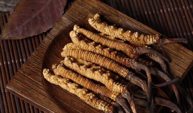 四川旅游亞丁稻城攻略_四川稻城亞丁旅游_四川稻城亞丁旅游全攻略