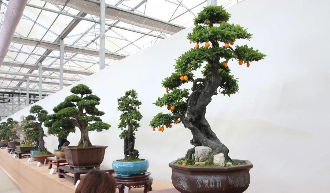 甘港旅游景區_甘港旅游景區門票_甘港村導游詞