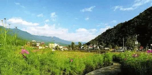 旅游開發(fā)項目策劃咨詢_青川縣青溪旅游開發(fā)項目_旅游開發(fā)項目