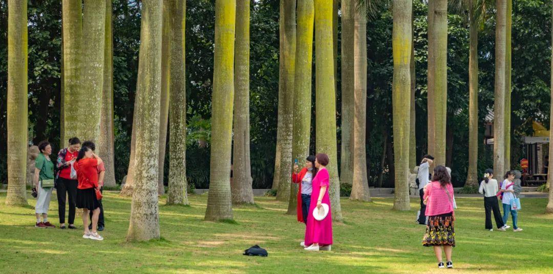 帶老人自駕游痛苦經歷_自駕游老年人旅游適合去哪里_老人自駕游