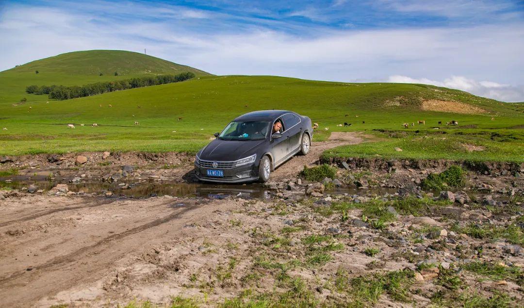 帶老人自駕游痛苦經歷_自駕游老年人旅游適合去哪里_老人自駕游