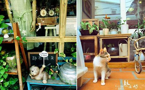 廈門適合自駕游嗎_廈門自駕景點_自駕廈門適合游玩嗎