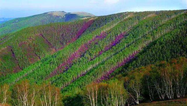 自駕游赤峰_自駕游赤峰旅游攻略必玩的景點_自駕游赤峰導游電話