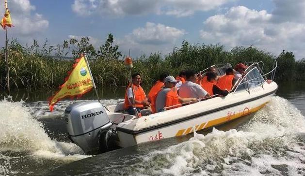 高郵湖一日游詳細攻略