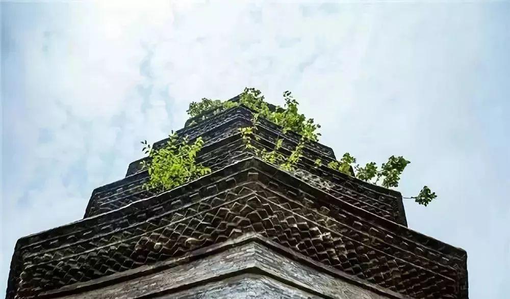 甘港旅游景區_甘港村導游詞_景區旅游甘港路線