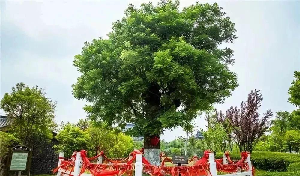 甘港旅游景區_甘港村導游詞_景區旅游甘港路線
