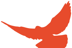 鳳縣旅游熱線_鳳縣旅游攻略_鳳縣旅游