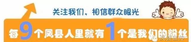 鳳縣旅游_鳳縣旅游熱線_鳳縣旅游景區(qū)