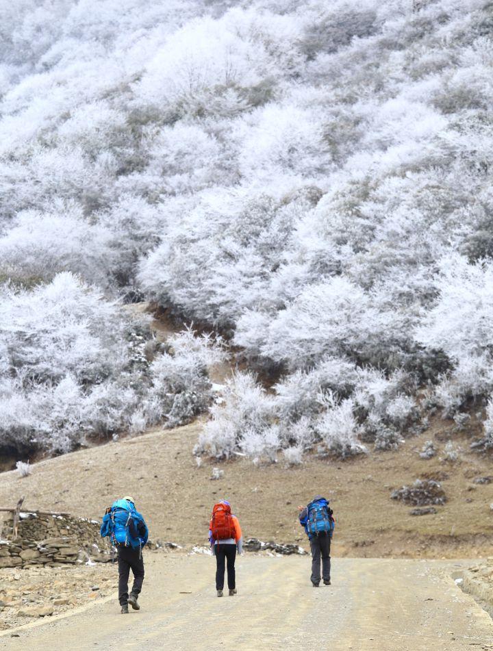 自駕推薦_便宜的自駕游景點_自駕游去哪里旅游最好最便宜