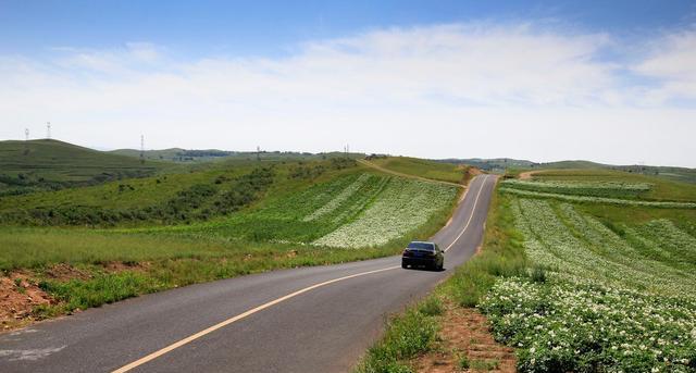 北京周邊自駕游草原_北京自駕游草原攻略_北京附近草原自駕