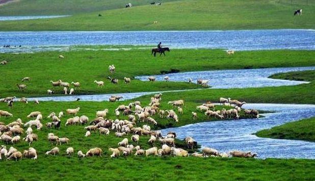 自駕游最省錢_自駕游去哪里旅游最好最便宜_便宜的自駕游景點