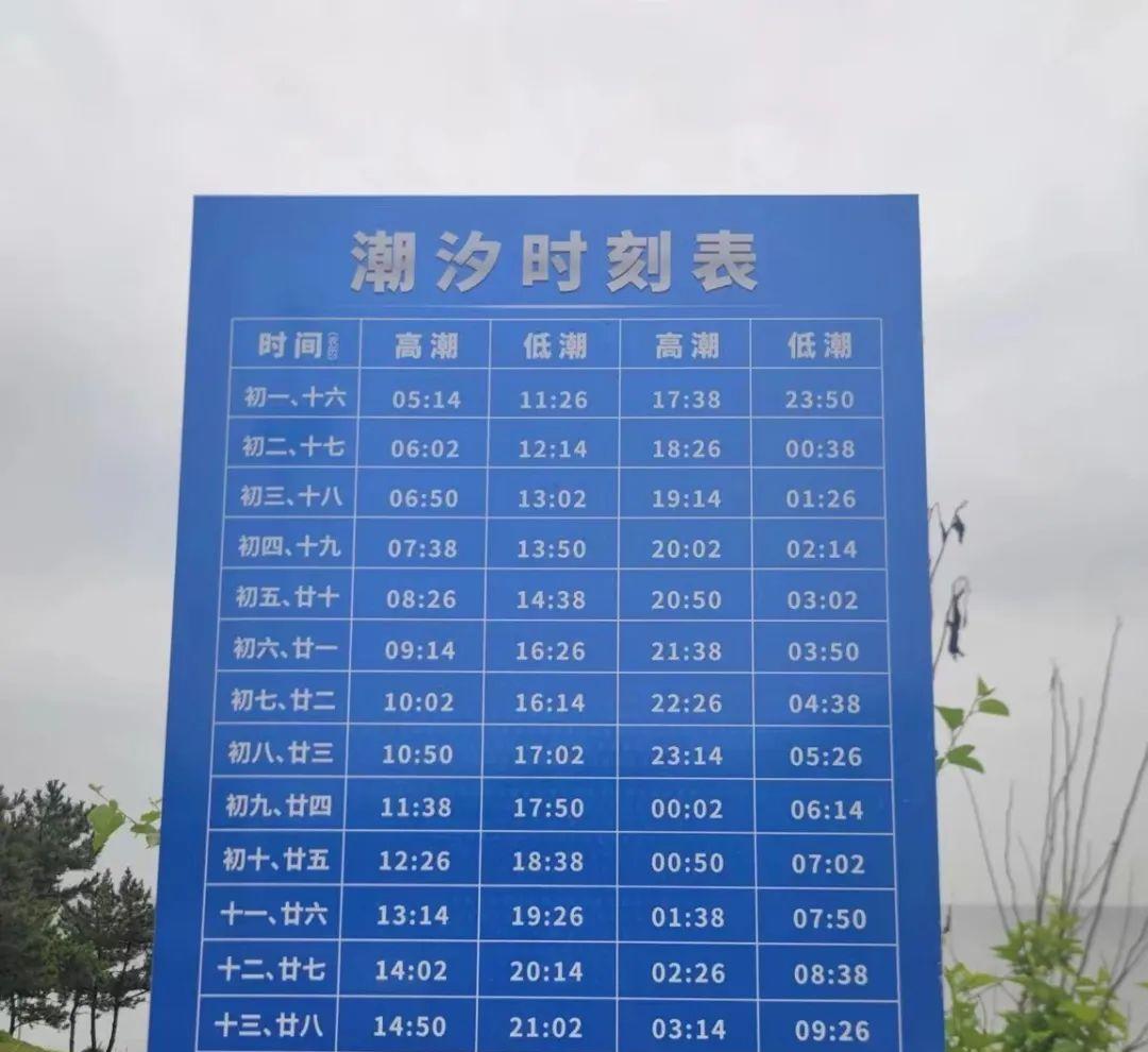 青島出發自駕游_自駕青島出發游玩攻略_自駕青島旅游路線