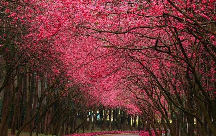臺中旅游景點_臺中著名景點_臺中市旅游
