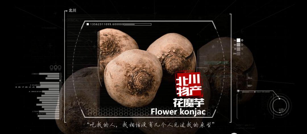 北川旅游景點大全_北川旅游攻略_北川旅游景點