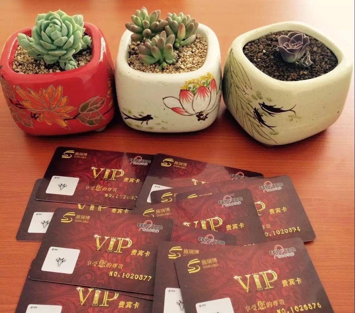 偃師旅游團有哪些_偃師旅游團_偃師旅游團安排一日游