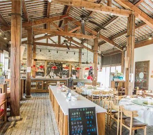 南京周邊寵物自駕游_南京可以帶寵物的景區_南京周邊適合帶狗狗玩的地方