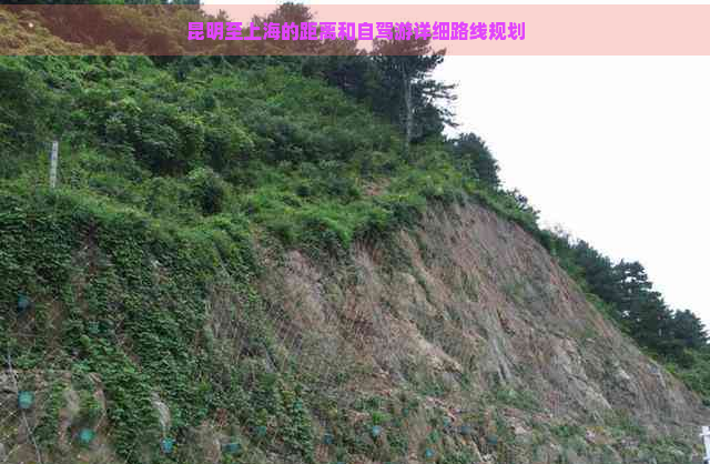 昆明至上海的距離和自駕游詳細(xì)路線規(guī)劃